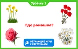 Учим овощи и фрукты screenshot 2