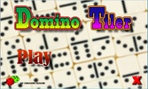 Domino tiler screenshot 2