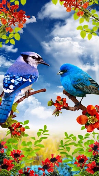 Birds - Preview 4
