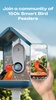 Bird Buddy screenshot 4