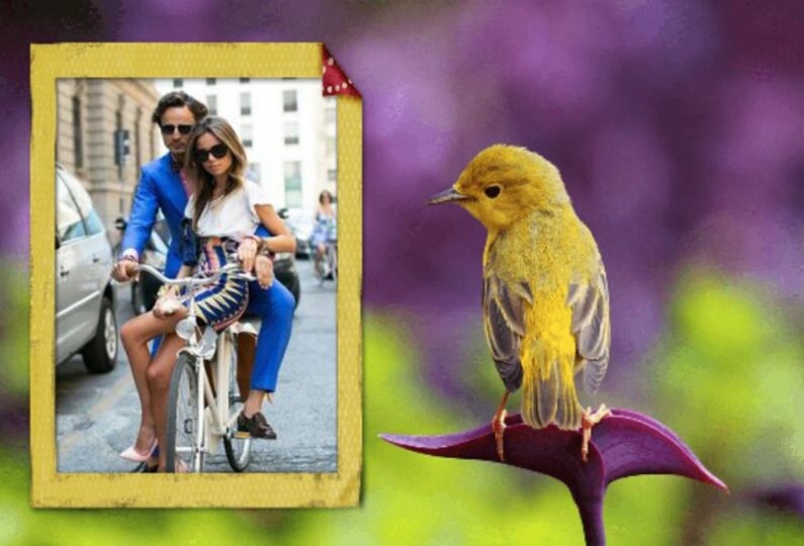 Photo Studio Picframes - Preview 4