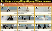 Five Animals Qigong (YMAA) screenshot 5