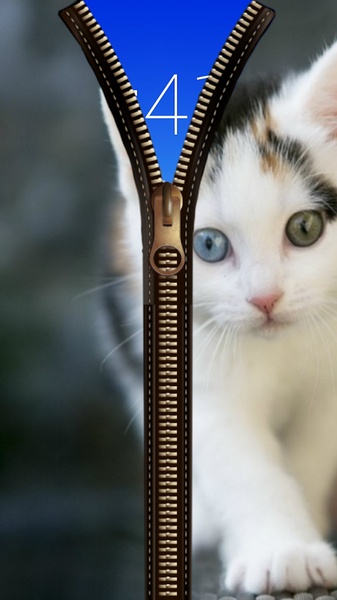 Cat Zipper Screen Lock - Preview 4