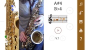 How To Play Saxophone screenshot 3