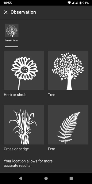 Flora Incognita - Preview 2