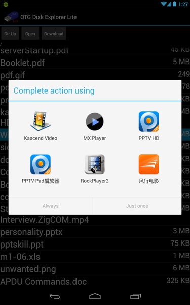 OTG Disk Explorer Lite - Preview 2