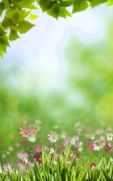 Spring Meadow Live Wallpaper - Preview 1