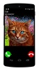 Fake Call Cat screenshot 2