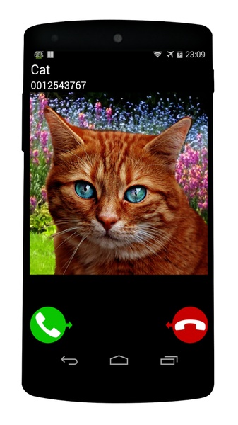 Fake Call Cat - Preview 2