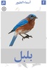 تعليم أسماء الطيور screenshot 5
