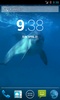 Amazing Dolphins HD screenshot 2