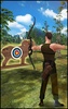 Archery Tournament - shooting games screenshot 7