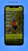 Parrot Sounds screenshot 4