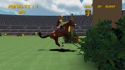 Show Jumping screenshot 6