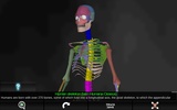 Bones Human 3D (anatomy) screenshot 18