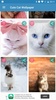 Cute Cat Wallpaper screenshot 7