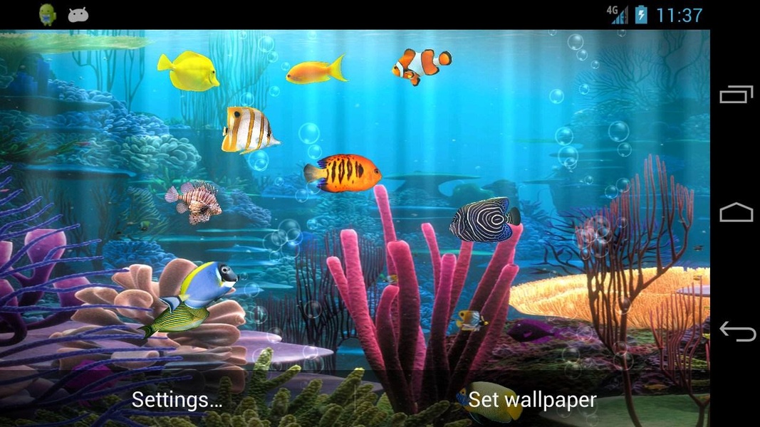 Fish Aquarium - Preview 5