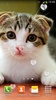 귀여운 고양이 라이브 배경화면 screenshot 12