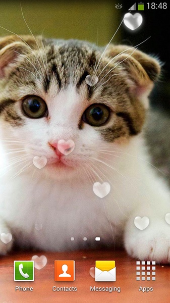 Cute Cats Live Wallpaper - Preview 12