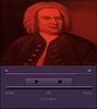 Classical Music Radio 24 Hours screenshot 3