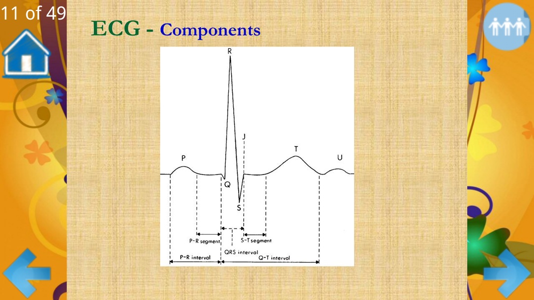 Basic ECG Interpretation - Preview 4