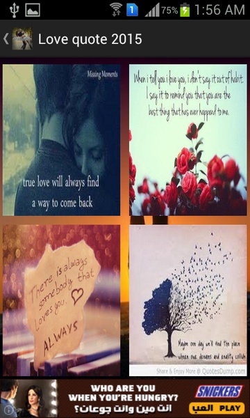 Love quote 2015 - Preview 19
