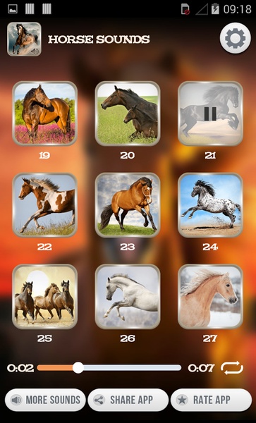 Horse Sounds - Preview 1