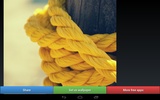 Brilliant Yellow Color HD Wallpapers screenshot 9