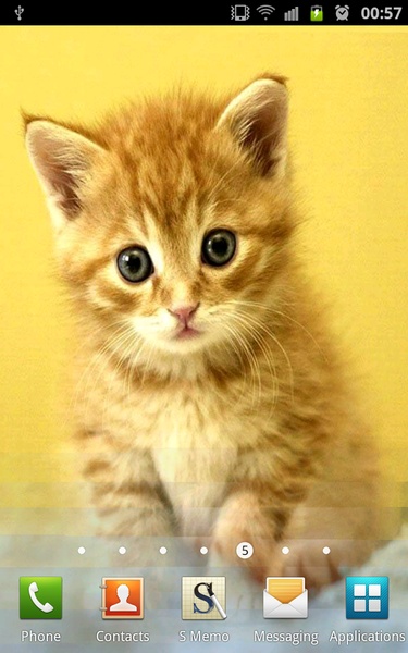 Cute Kittens Wallpapers - Preview 4