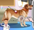 Pet Vet2 screenshot 7