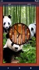 Panda Parallax Wallpapers screenshot 5