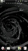 Black Rose live wallpapers screenshot 3