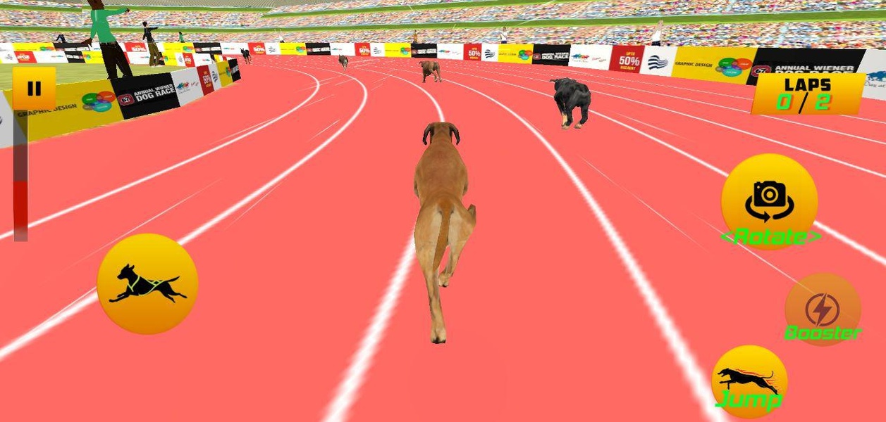Dog Race 2019 - Preview 6