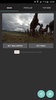 Wild Horses Live Wallpaper screenshot 5