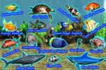 Pocket Aquarium screenshot 9