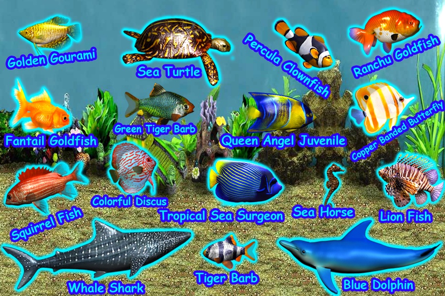 Pocket Aquarium - Preview 9