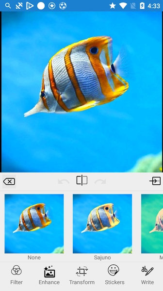 Mcw Editor - Preview 2