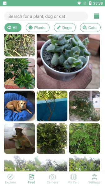 NatureID - Preview 4