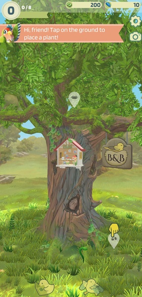 Bird bnb - Preview 3