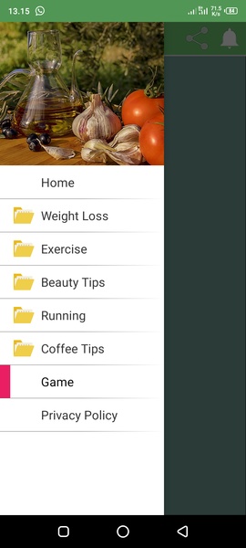 Healthy Life Guide - Preview 4