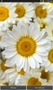 Flowers Live Wallpapers screenshot 7