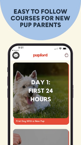 Pupford - Preview 5