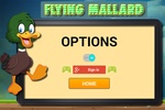 Flying Mallard screenshot 3