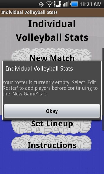 Individual Volleyball Stats - Preview 3