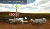 Greyhound Dog Racing 3D screenshot 4