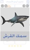 أنواع الأسماك و صور أسماك screenshot 4