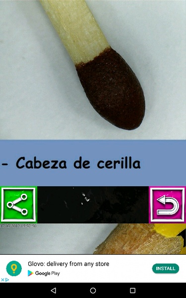 MICROSCOPIO USB FOTOS - Preview 8