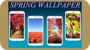 Spring Wallpaper HD screenshot 16