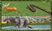 Wild Anaconda Snake Attack Sim screenshot 12