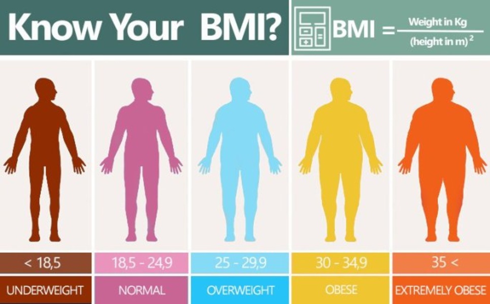 BMI Calc - Preview 1